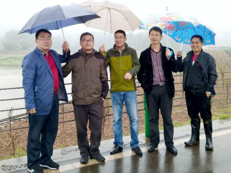 k1体育园林绿化维护